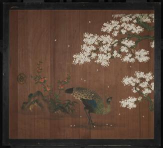 Peacock with Flowering Quince