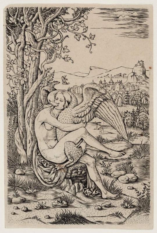 Leda and the Swan