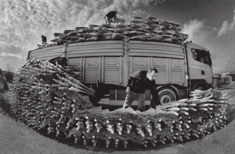 Untitled (unloading brooms from truck)