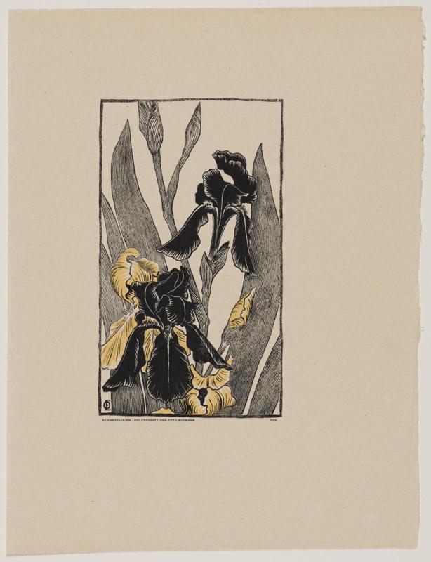 Irises