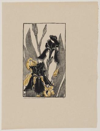 Irises