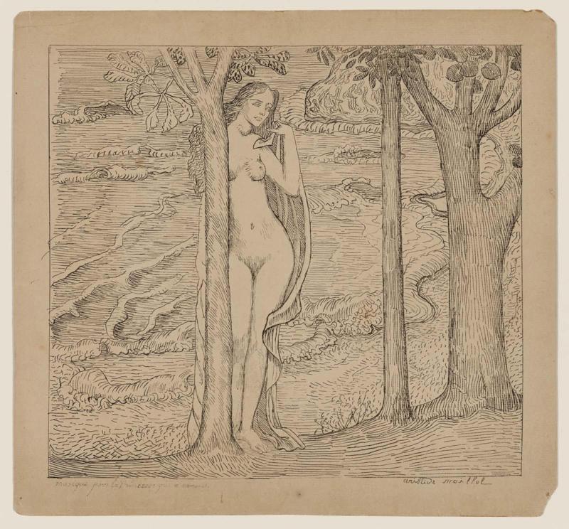 The Bather