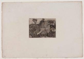 The small landscape