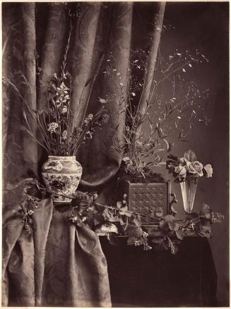 Still Life Arrangement