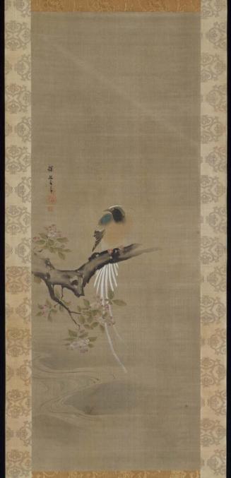 Long-Tailed Bird on Flowering Crabapple