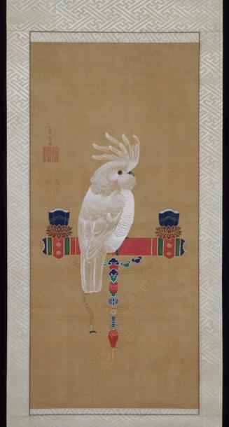 Cockatoo