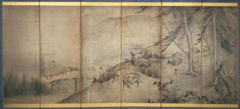 Buffaloes