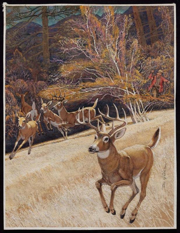 Deer and Hunter in a Field