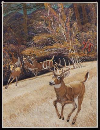Deer and Hunter in a Field