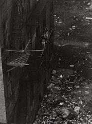 Untitled, [Children Playing on Fire Escape with Garbage Strewn Backyard], from East 100th Street series