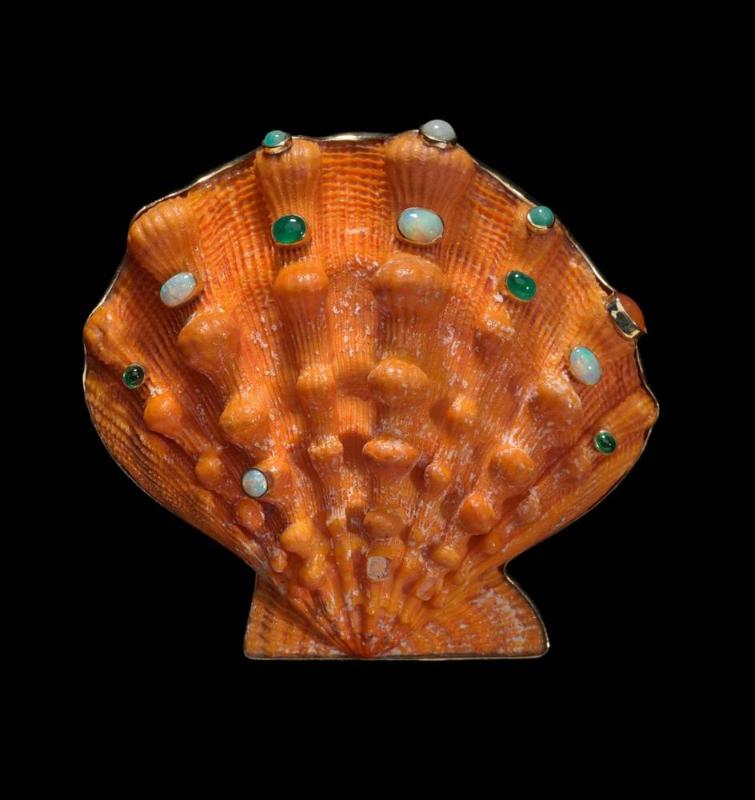 Shell brooch