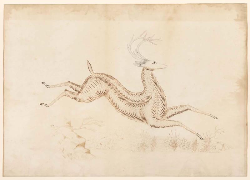 Leaping Stag