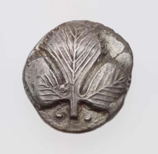 Conservation Status: After Treatment