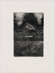 Backyard I - VIII, from Cognates Portfolio