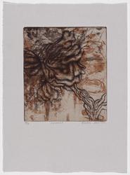 Connect, from Cognates Portfolio