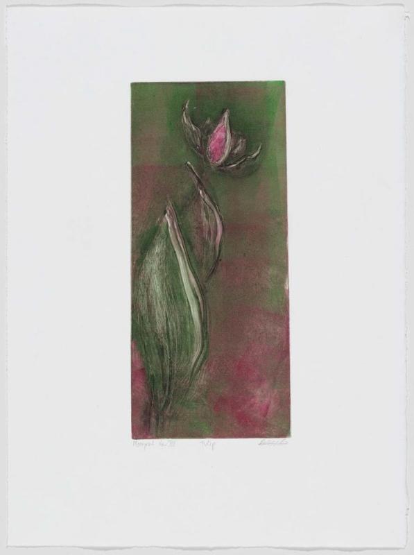Tulip, from Cognates Portfolio