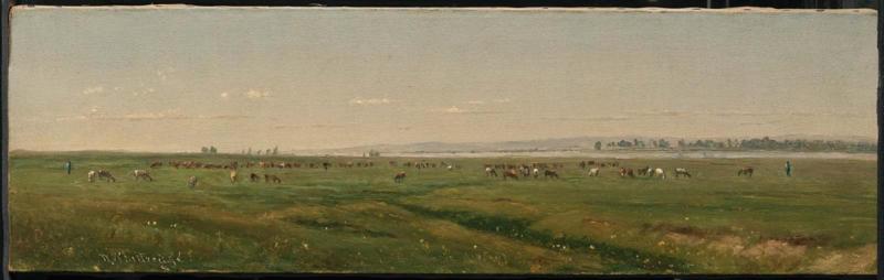 On the Platte River