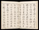Volume I, Page 5
