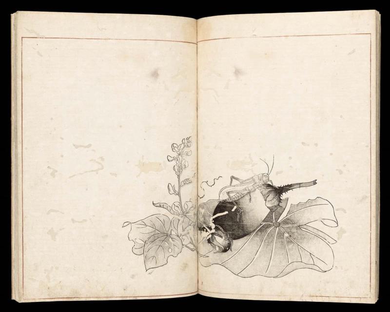 Volume II, Page 7