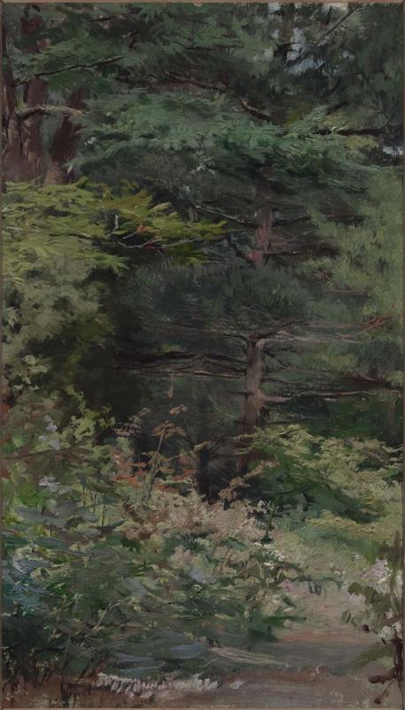 In Ashdown Forest, Sussex