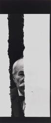 Barnett Newman
