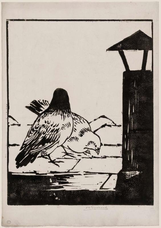 The Pigeons