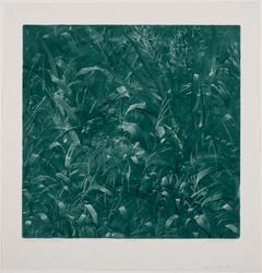 Wet Grass, Green Field I
