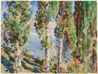 Corfu: Cypresses