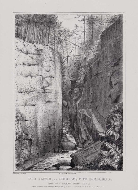 Plate 12
