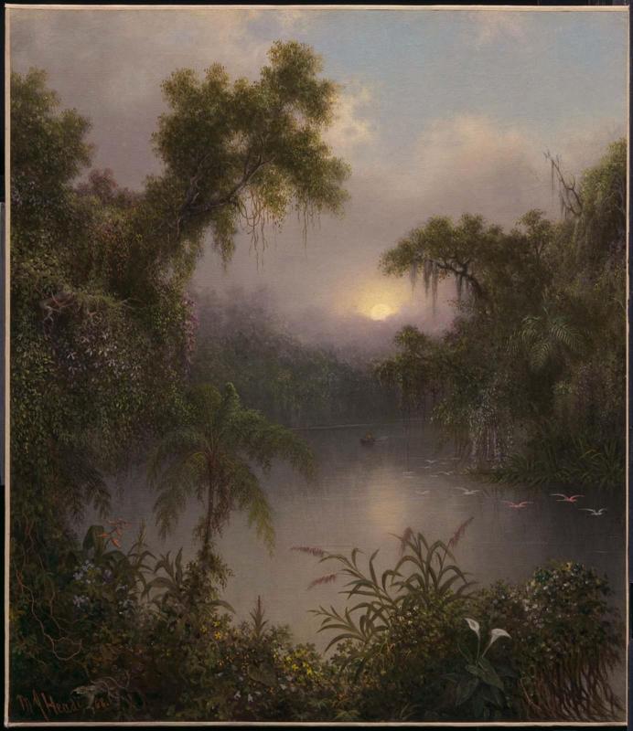 South American River