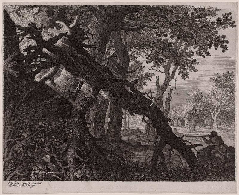 Rabbit Hunt