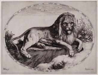 The Great Lion