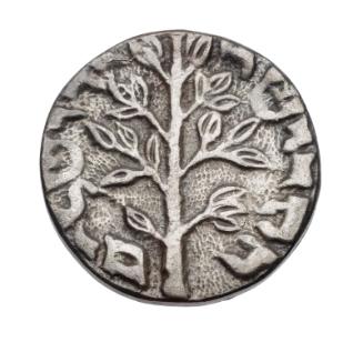 False Shekel