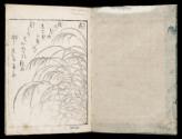 Volume III, Page 1