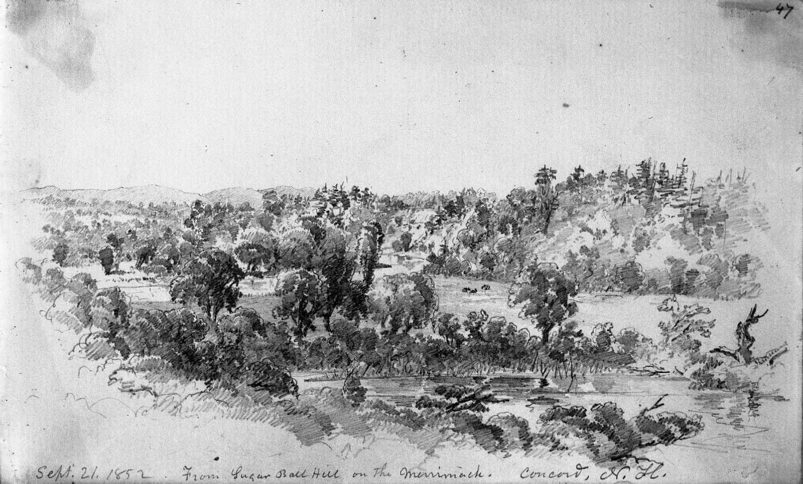 Concord, N. H. From Sugar Ball Hill