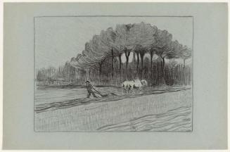 The Plough