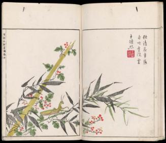 Volume II, Page 15