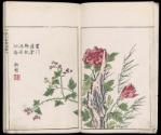 Volume III, Page 4