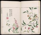 Volume III, Page 12