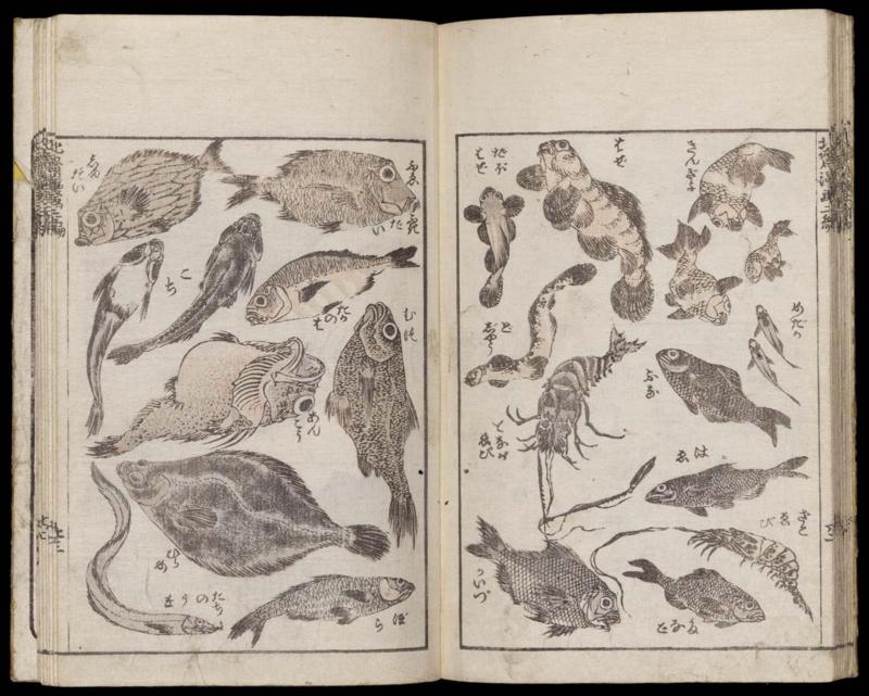 (Denshin kaishu) Hokusai manga nihen (Hokusai Sketchbooks, vol. 2)