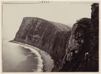 Mountainous Coastal View