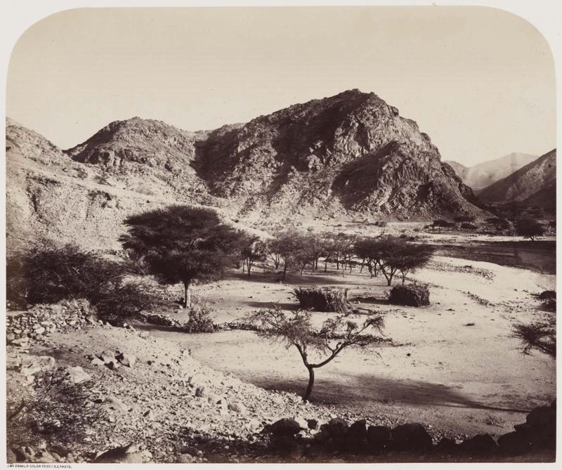 Wady Feiran, with mouth of Wady Aleyat