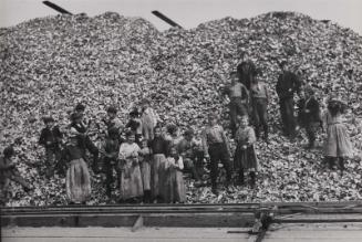 A Hill of Shells, Only Part of a Season's Work