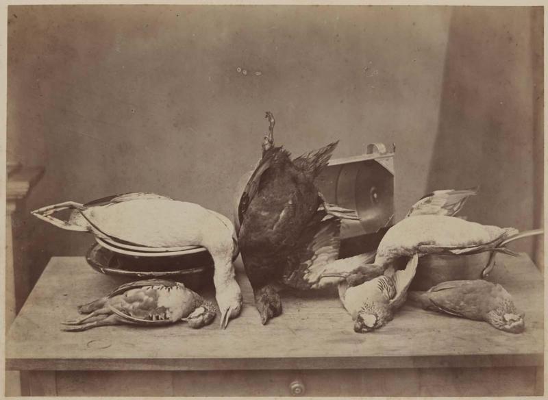 Dead Game Birds on a Kitchen Table