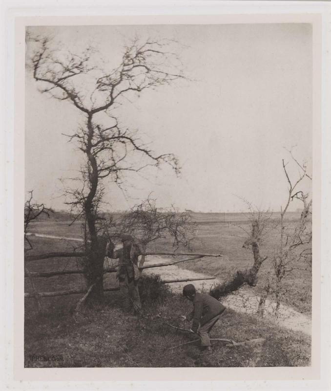 Pruning Trees from the book Pictures from Life in Field and Fen