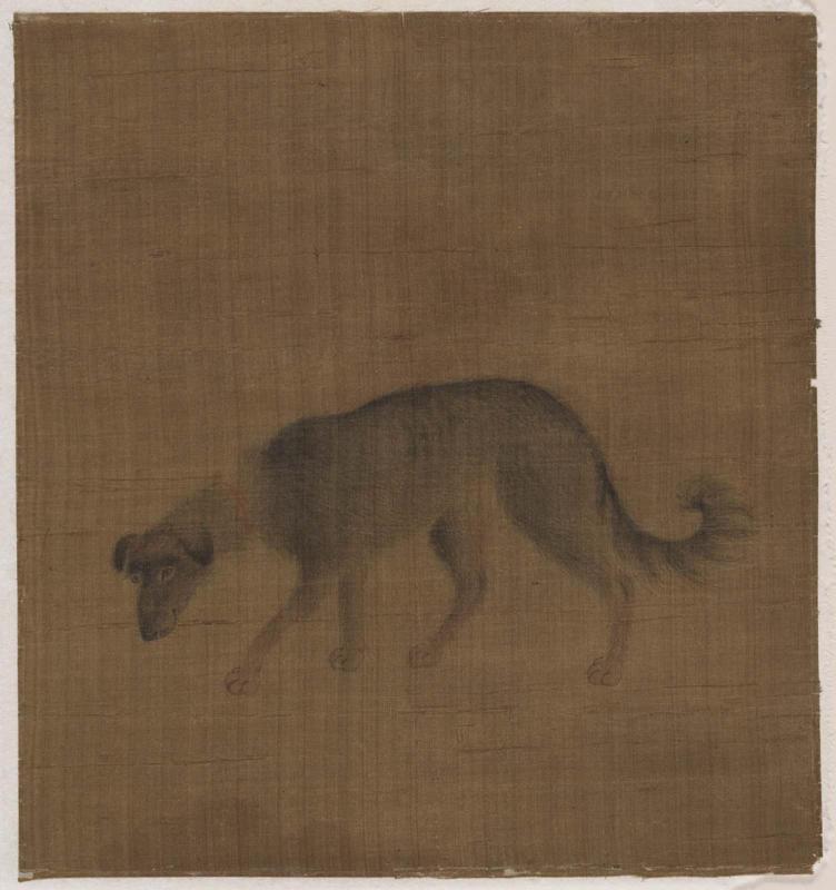 Hound walking