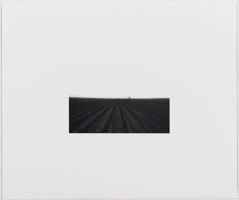 Untitled (Field and Trees)
