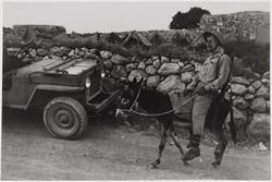 Sentry on donkey, part of patrol moving out from occupied Arab village through new road marked with signs pointing toward Jerusalem