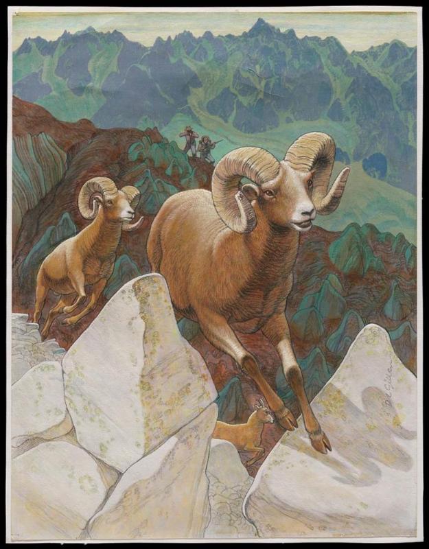 Rams on Cliff