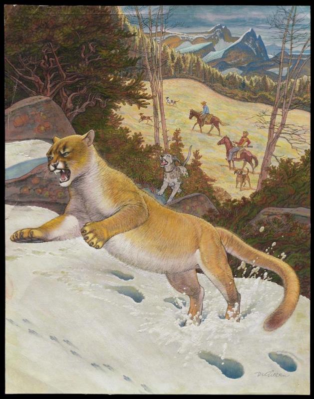Cougar on Mountain